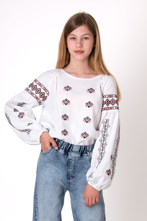 5172 Вишиванка
