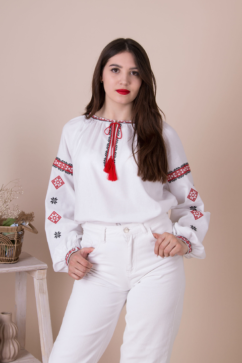 5462 Вишиванка
