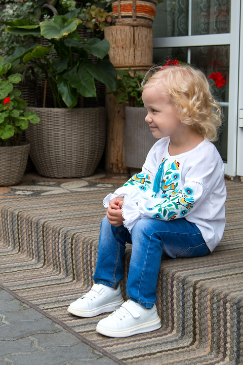 5285 Вишиванка 3