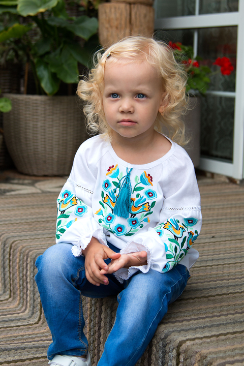 5285 Вишиванка 3