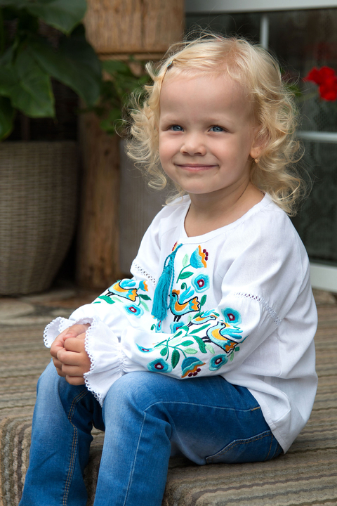 5285 Вишиванка 3